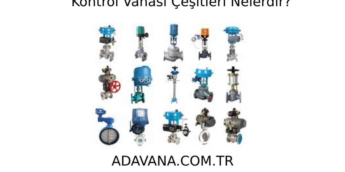 KONTROL VANASI ÇEŞİTLERİ NELERDİR?