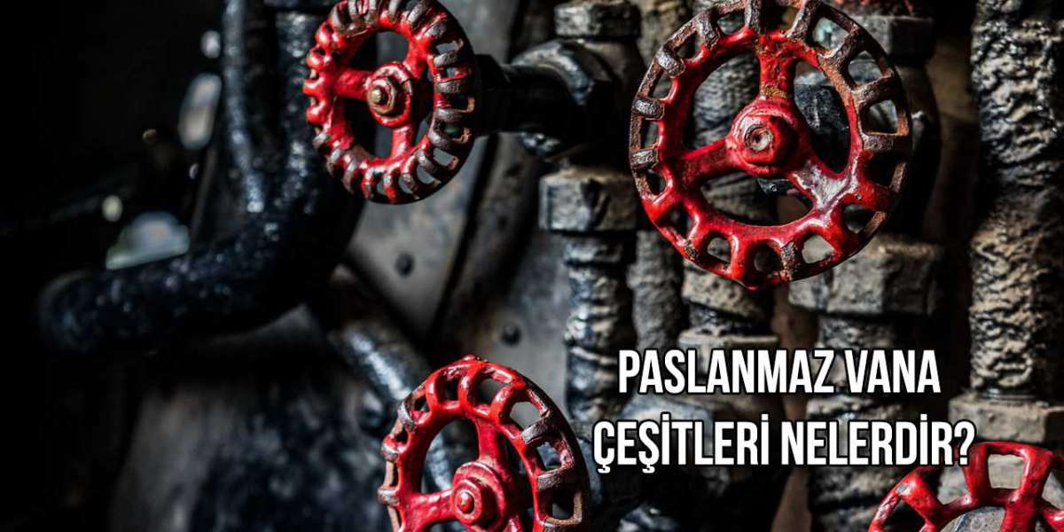 PASLANMAZ VANA ÇEŞİTLERİ NELERDİR?