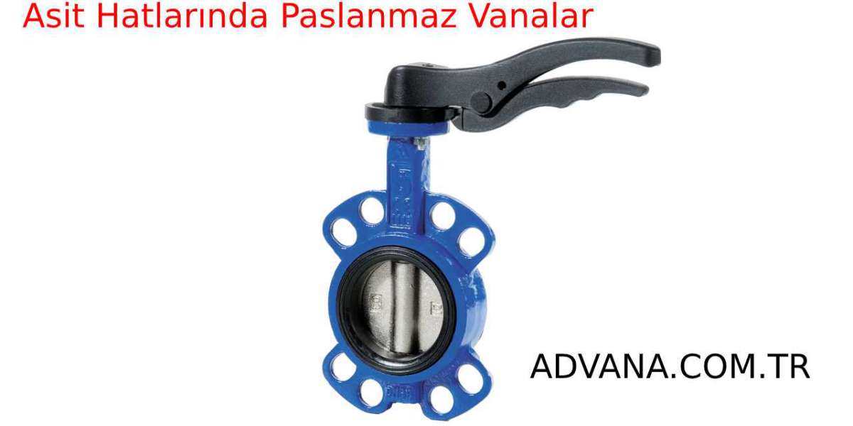 ASİTTE PASLANMAZ VANALAR