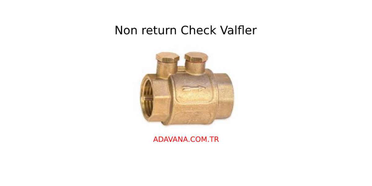 NON RETURN CHECK VALFLER